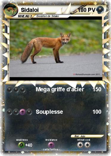 Pokemon Sidaloi