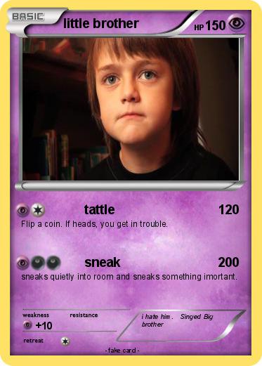 Pokemon little brother