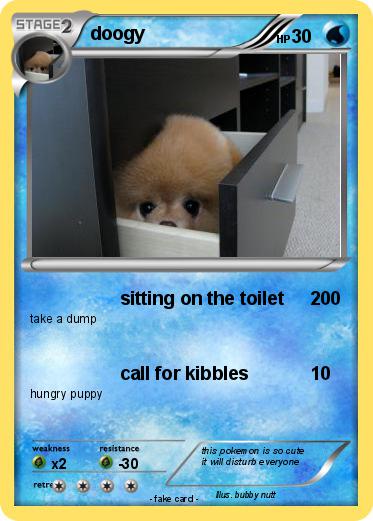 Pokemon doogy