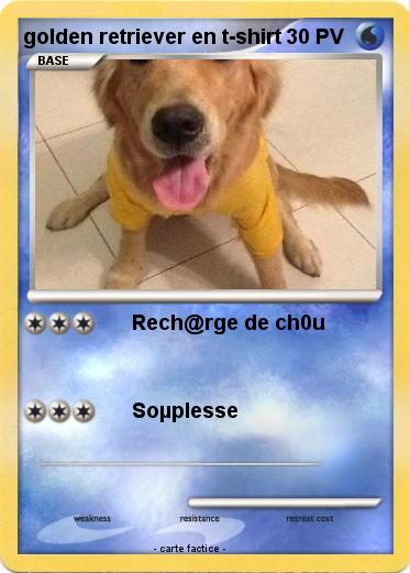 Pokemon golden retriever en t-shirt