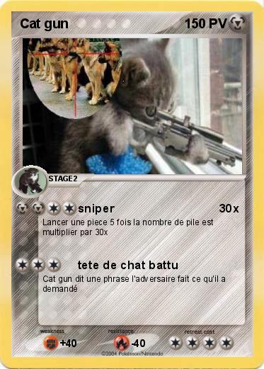 Pokemon Cat gun