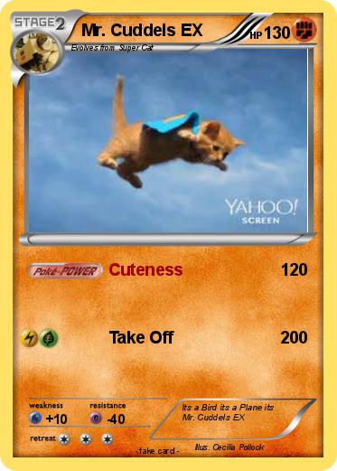Pokemon Mr. Cuddels EX