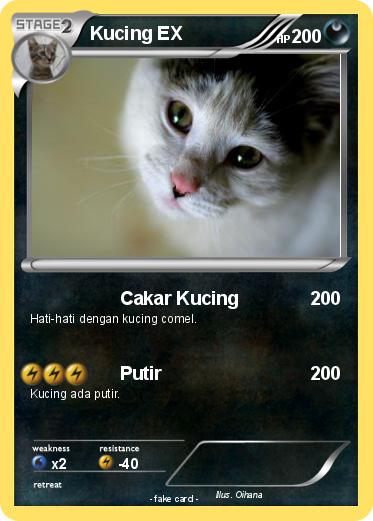 Pokemon Kucing EX