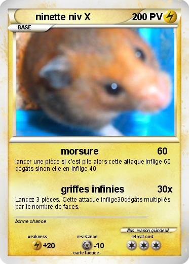 Pokemon ninette niv X