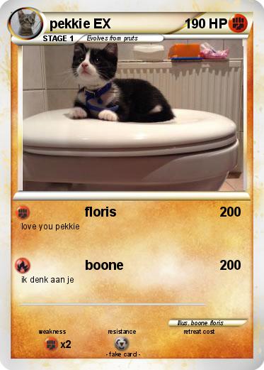 Pokemon pekkie EX