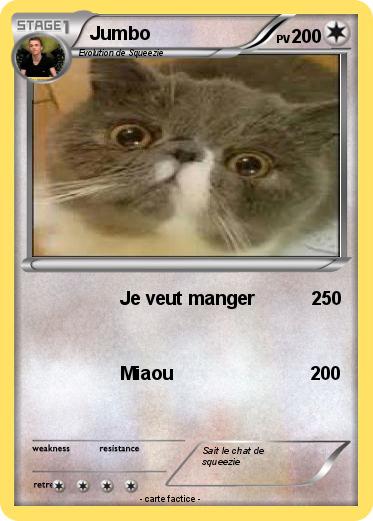 Pokemon Jumbo