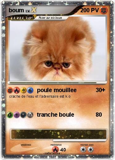 Pokemon boum