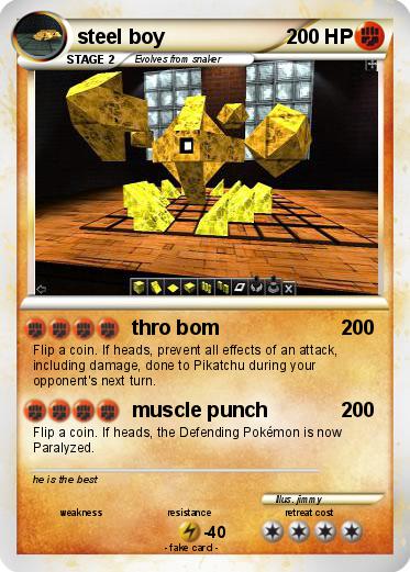 Pokemon steel boy
