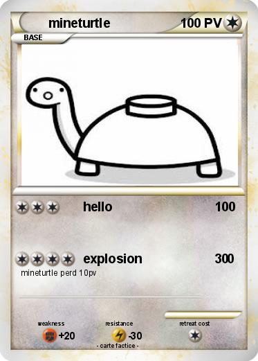 Pokemon mineturtle