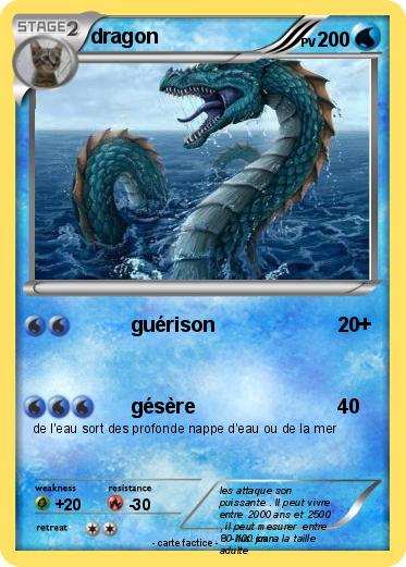 Pokemon dragon
