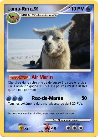 Pokemon Lama-Rin