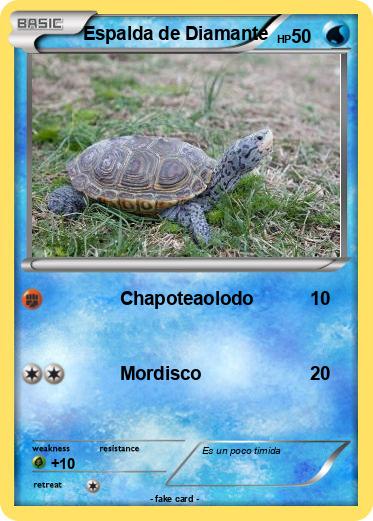 Pokemon Espalda de Diamante