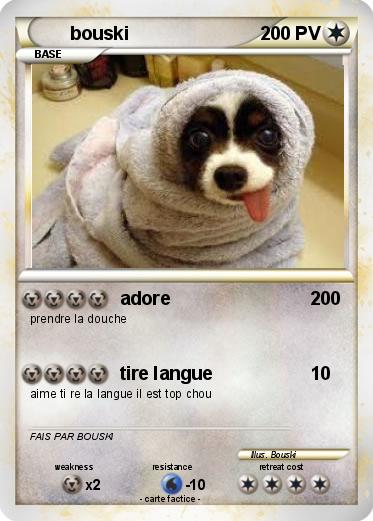 Pokemon bouski