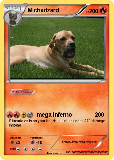 Pokemon M charizard