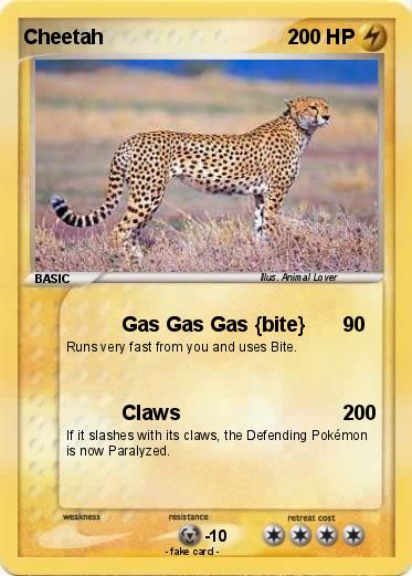 Pokemon Cheetah
