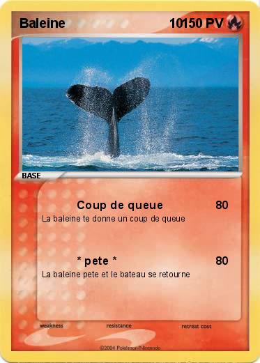 Pokemon Baleine                             10