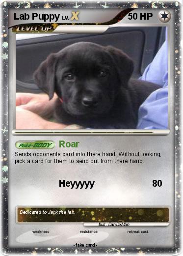 Pokemon Lab Puppy