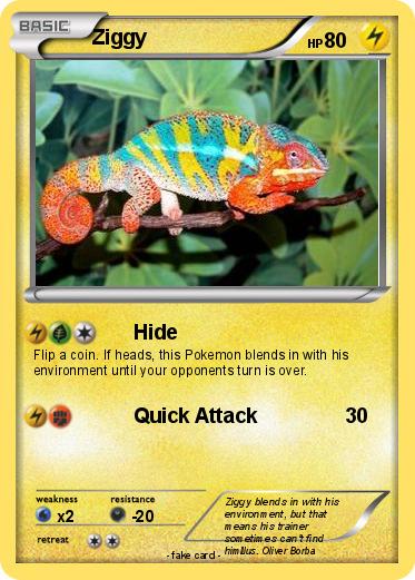Pokemon Ziggy