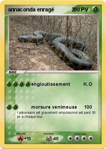Pokemon annaconda enragé            2