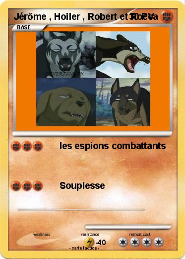 Pokemon Jérôme , Hoiler , Robert et Rocca