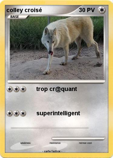 Pokemon colley croisé