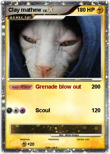 Pokemon Clay mathew