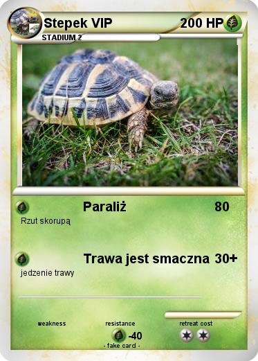 Pokemon Stepek VIP
