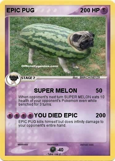 Pokemon EPIC PUG