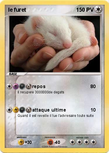 Pokemon le furet