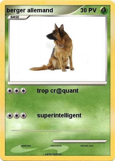 Pokemon berger allemand