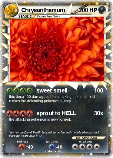 Pokemon Chrysanthemum