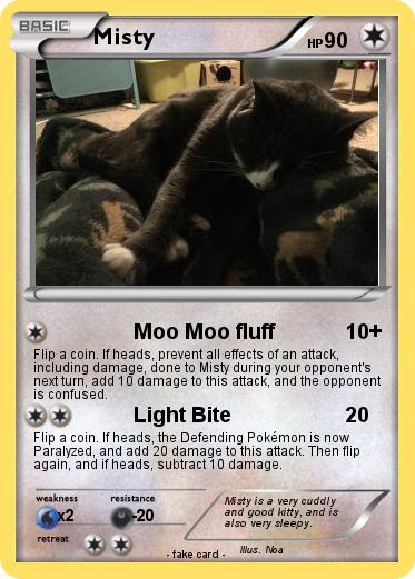 Pokemon Misty