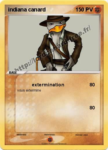 Pokemon indiana canard