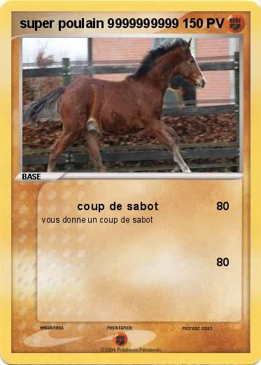 Pokemon super poulain 9999999999