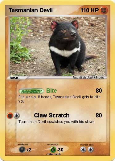 Pokemon Tasmanian Devil