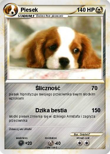 Pokemon Piesek