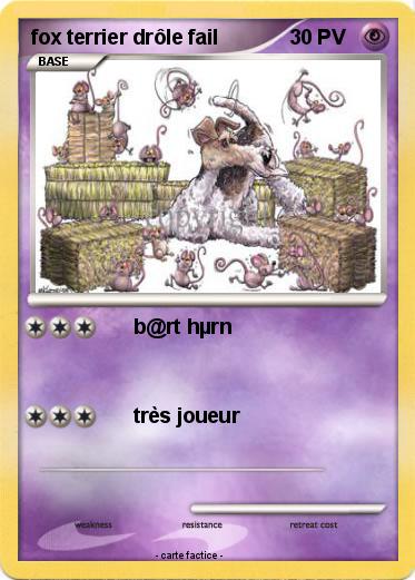 Pokemon fox terrier drôle fail