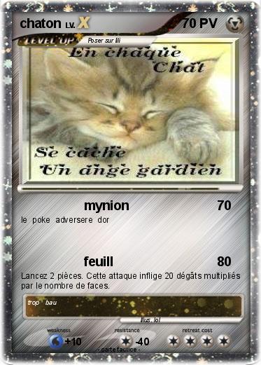 Pokemon chaton