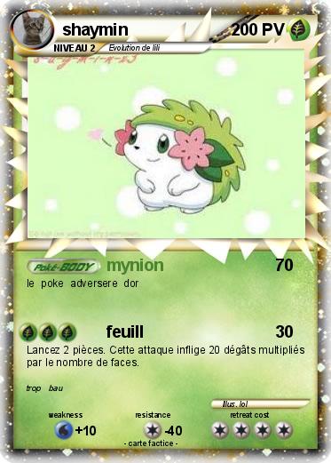 Pokemon shaymin