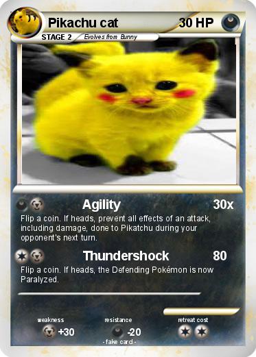 Pokemon Pikachu cat