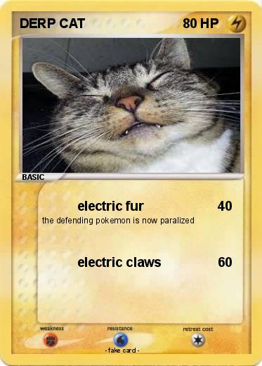 Pokemon DERP CAT