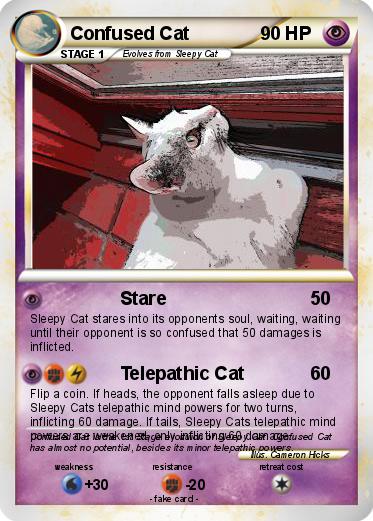 Pokemon Confused Cat