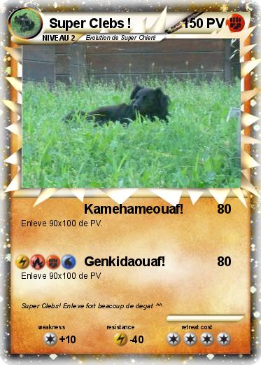 Pokemon Super Clebs !