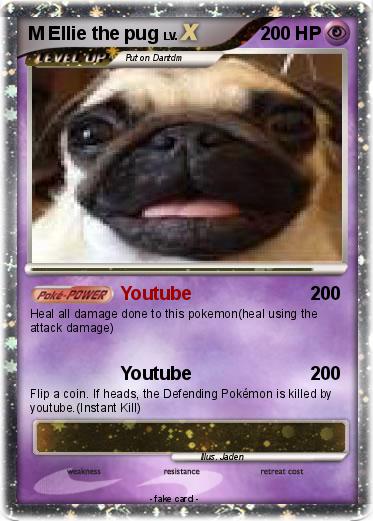 Pokemon M Ellie the pug