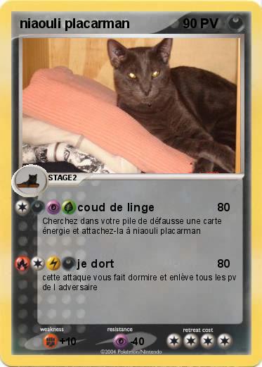 Pokemon niaouli placarman