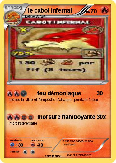Pokemon le cabot infernal