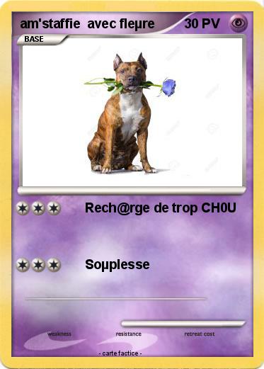 Pokemon am'staffie  avec fleµre