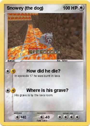 Pokemon Snowey (the dog)