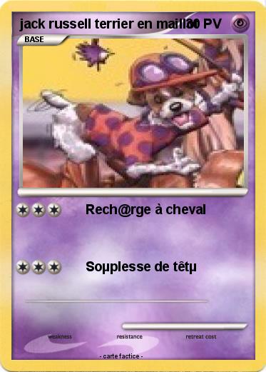 Pokemon jack russell terrier en maillot