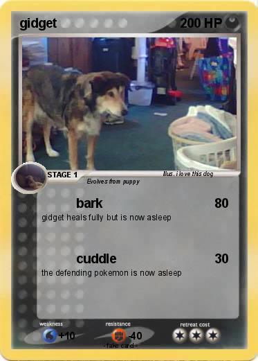 Pokemon gidget